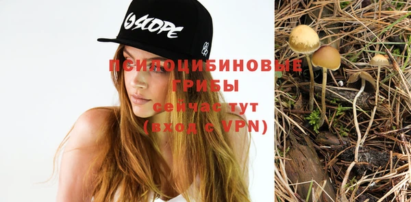 марки nbome Алексеевка