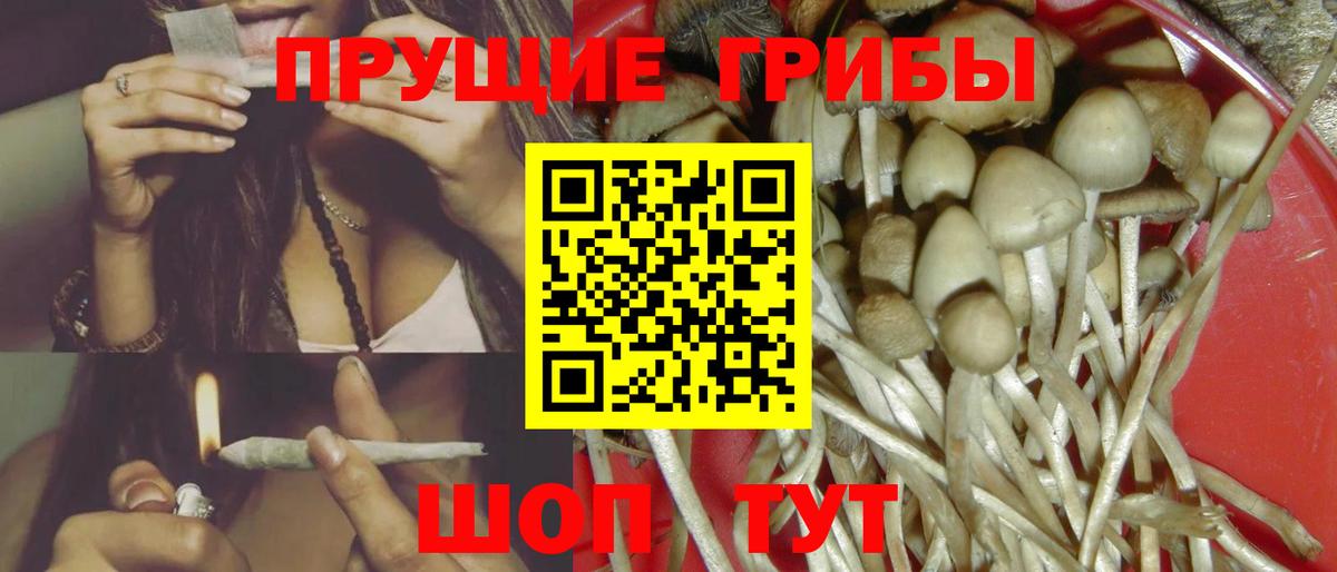 Псилоцибиновые грибы Psilocybine cubensis  Вход с VPN  сколько стоит  Галлюциногенные грибы MAGIC MUSHROOMS  Полысаево 
